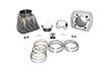 1200cc Cylinder and Piston Conversion Kit Silver