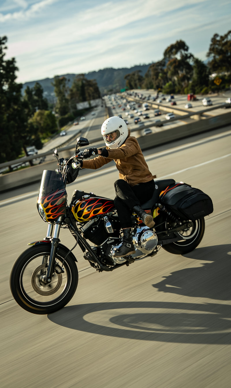 FXR & Dyna