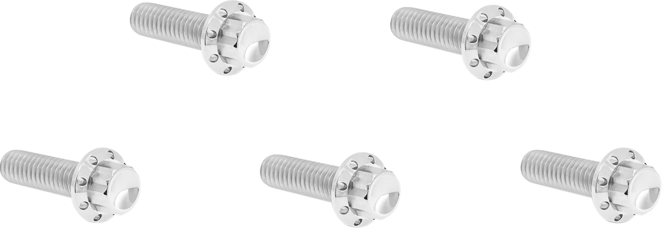 ARLEN NESS BOLT KIT TITANIUM 12PT DERBY COVER  POLISH