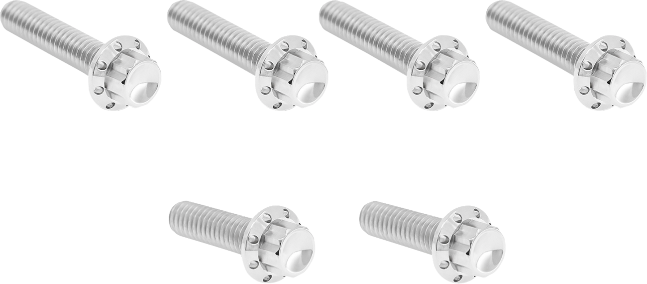 ARLEN NESS HARDWARE KIT TITANIUM 12-PNT M8/TC CBL CLUTCH PLSH
