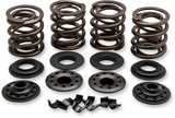 KIBBLEWHITE Valve Spring Kit