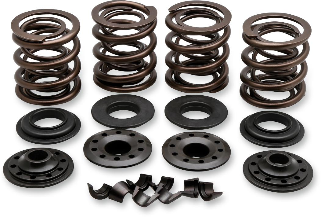KIBBLEWHITE Valve Spring Kit