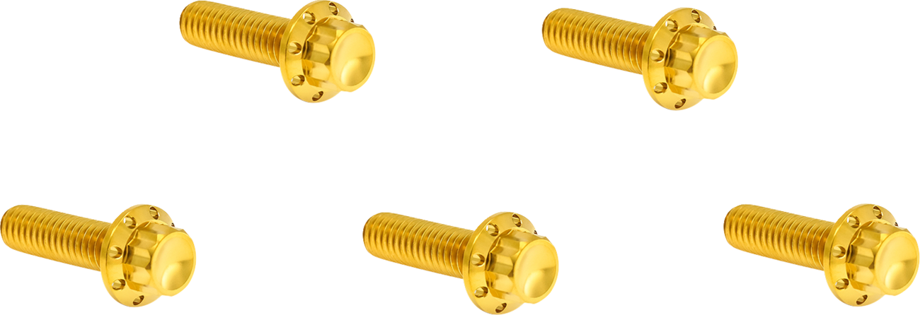 ARLEN NESS BOLT KIT TITANIUM 12PT DERBY COVER  GOLD