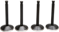 KIBBLEWHITE VALVE
