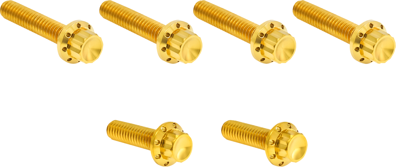 ARLEN NESS HARDWARE KIT TITANIUM 12-PNT M8/TC CBL CLUTCH GOLD