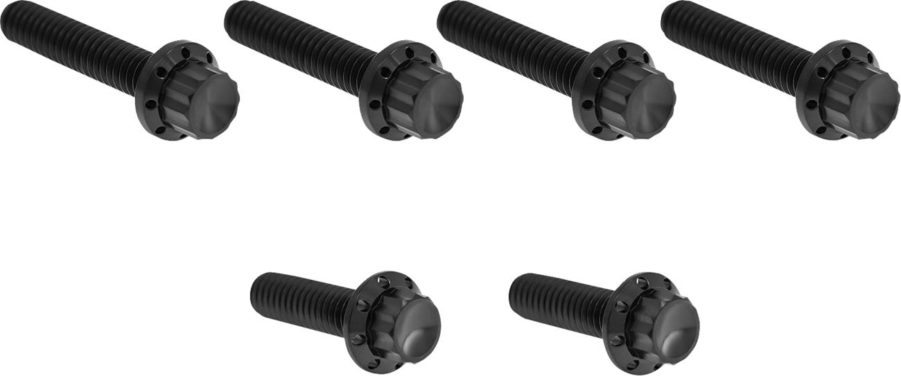 ARLEN NESS HARDWARE KIT TITANIUM 12-PNT M8/TC CBL CLUTCH BLACK