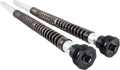 OHLINS CARTRIDGE KIT OHLINS NIX 30 SOFTAIL 20+
