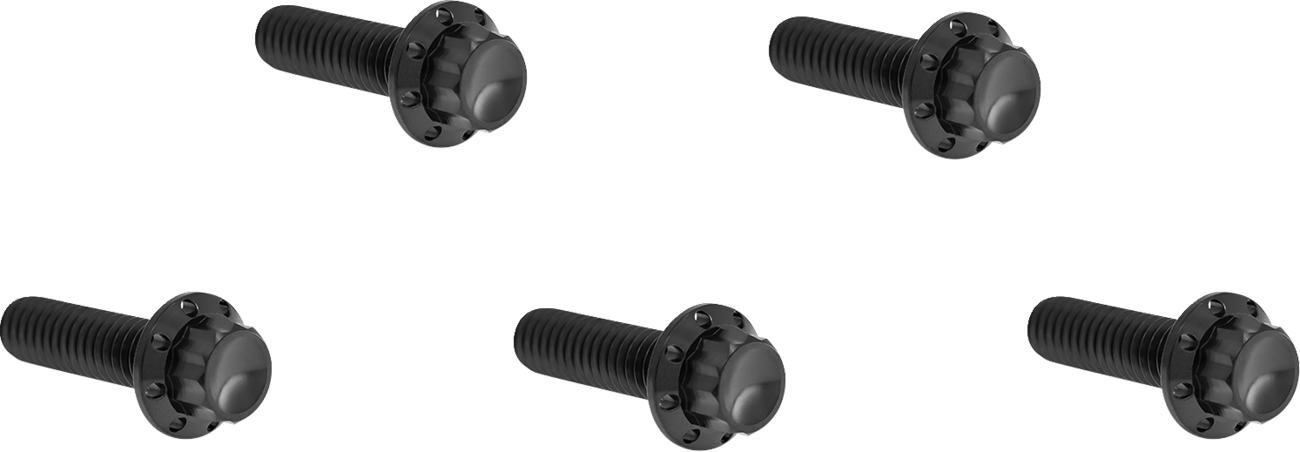 ARLEN NESS BOLT KIT TITANIUM 12PT DERBY COVER  BLACK