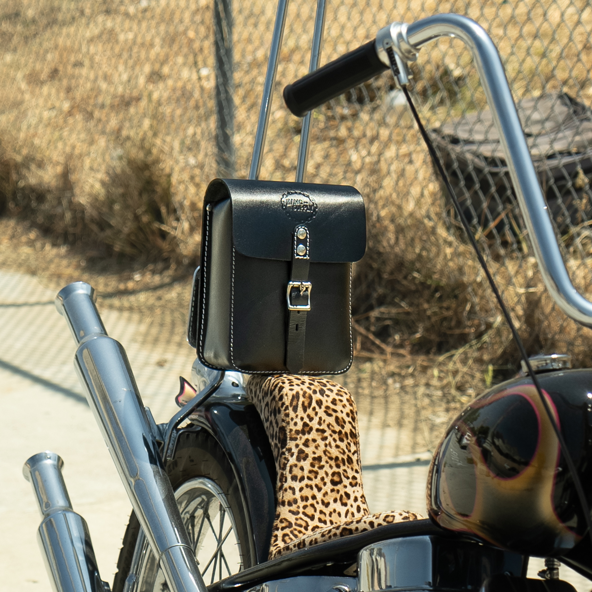 Sissy Bar Bag